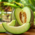 MELON HONEYDEW seed image