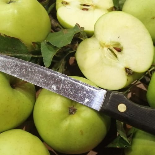 APPLE GOLDEN DELICIOUS seed image
