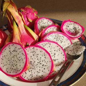 DRAGON FRUIT seed image