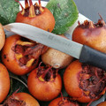 MEDLAR seed image