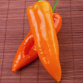 PEPPER ORANGE GLOW seed image