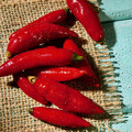 PEPPER RED GLOW seed image