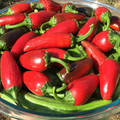 PEPPER JALAPENO RED seed image