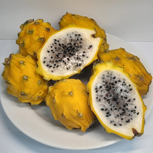 DRAGON FRUIT YELLOW seed image