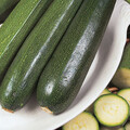 COURGETTE ALL GREEN BUSH seed image