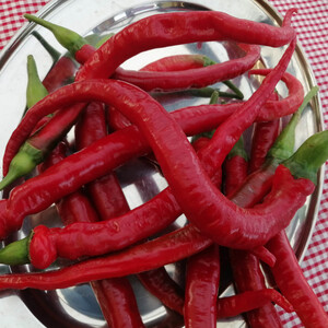 PEPPER JOE'S LONG CAYENNE seed image