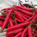 PEPPER BIRDS EYE seed image