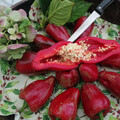 PEPPER FARMERS JALAPENO seed image
