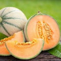 MELON CANTALOUPE seed image