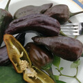PEPPER PALMICHAL NEGRO seed image