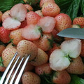 STRAWBERRY PEACHBERRY seed image