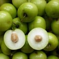ZIZIPHUS MAURITANA seed image