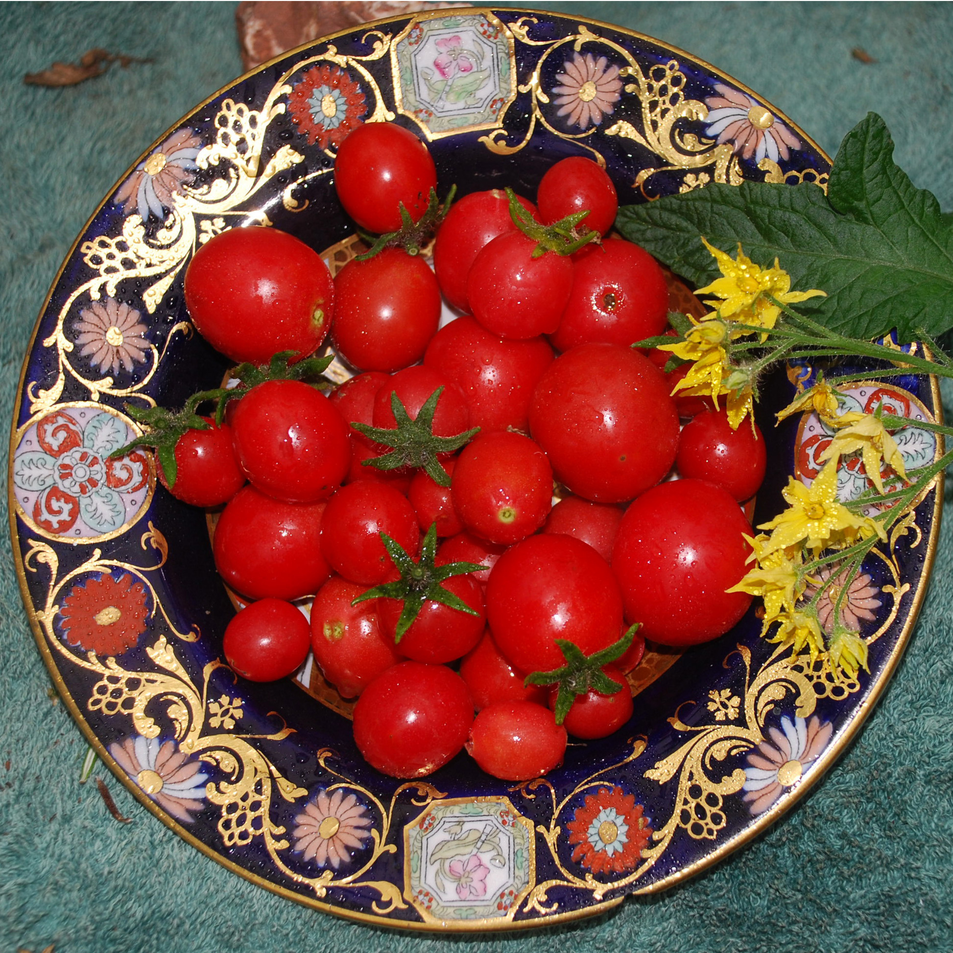 Tomato Gartenperle (20 Seeds)