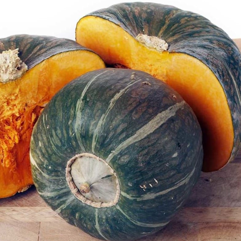 Squash (Winter) Kabocha F1 Seeds | Squash & Pumpkin Seeds | Plant World ...